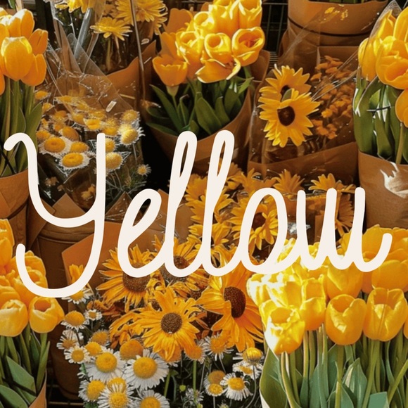 YELLOW - Picture 1 of 1